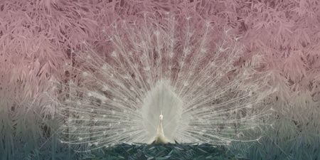 Фреска ALBA Natura арт. 800143