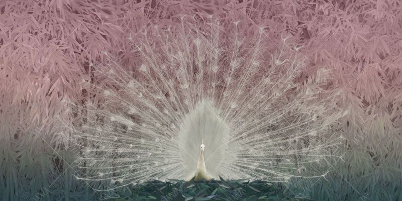 Фреска ALBA Natura арт. 800143