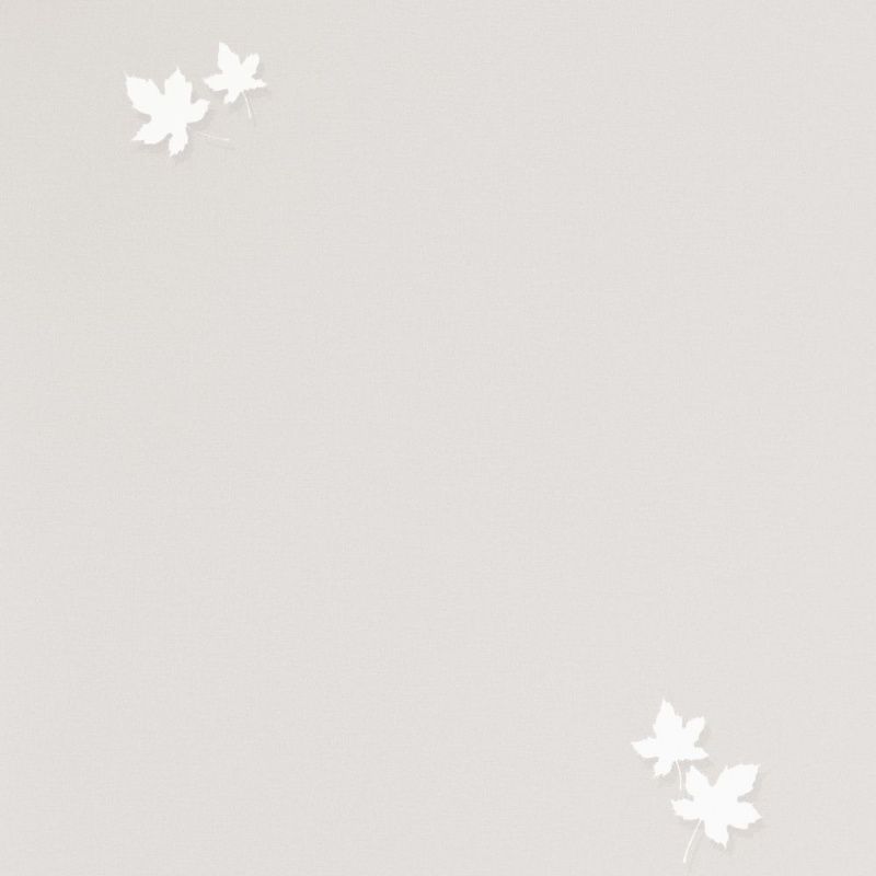 54384-2 Andrea Rossi Spectrum PRO 1,06 х 10,05