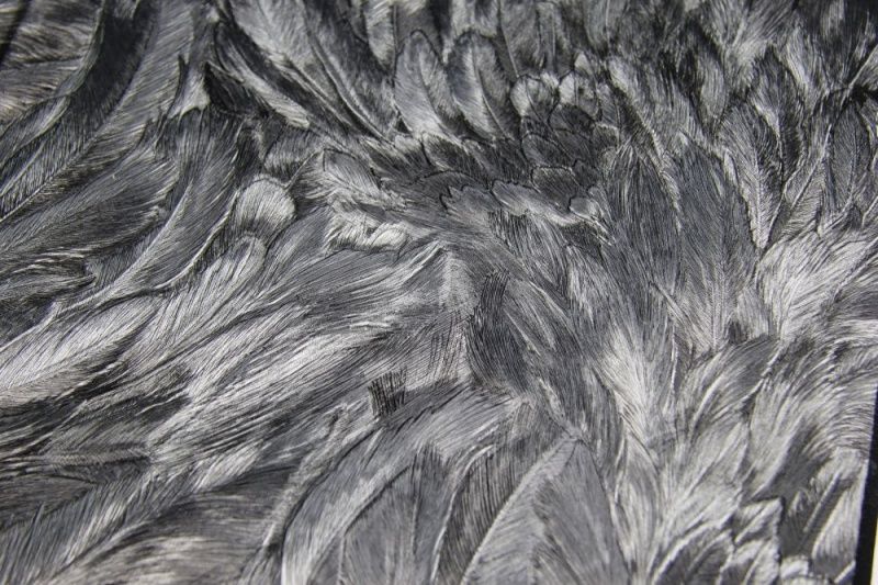 Виниловые обои Roberto Cavalli 9 1.06 21001