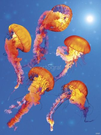 Фреска Медузы Art.33507