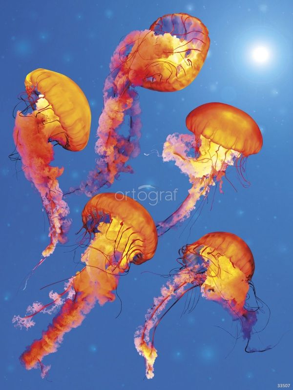 Фреска Медузы Art.33507