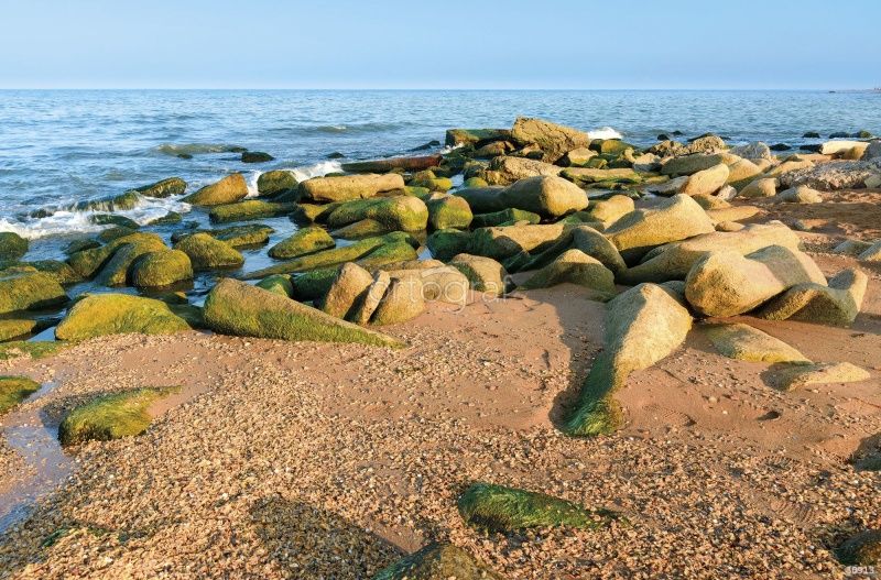 Фреска Каспийский берег Art.30913