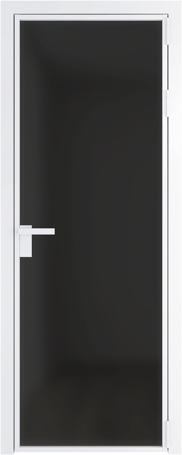 Модель1AG