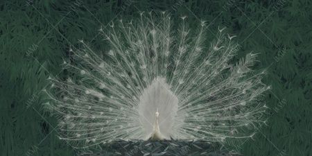 Фреска ALBA Natura арт. 800140