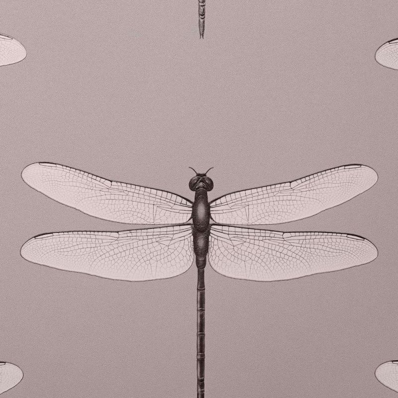 54426-4 Andrea Rossi Cavolli 1,06 х 10,05