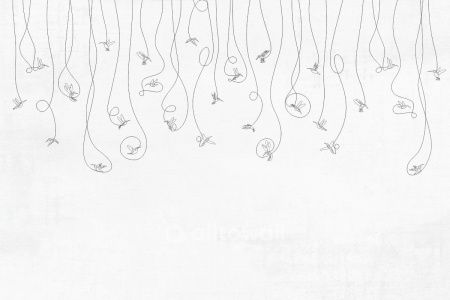 ANIMALISM Colibri black