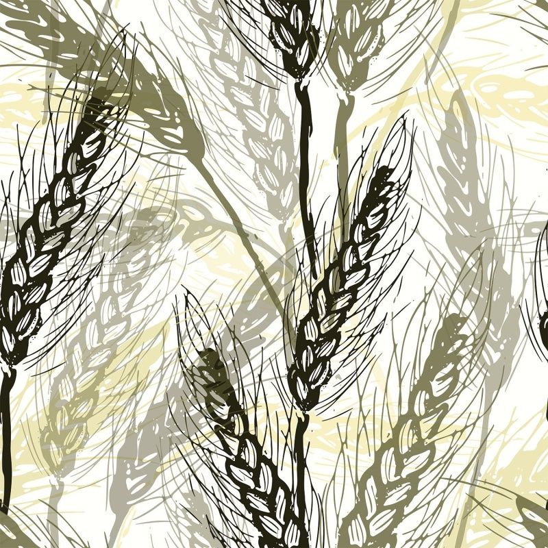 Best Photo Bank 1145228000