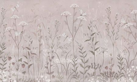 Полевые цветы