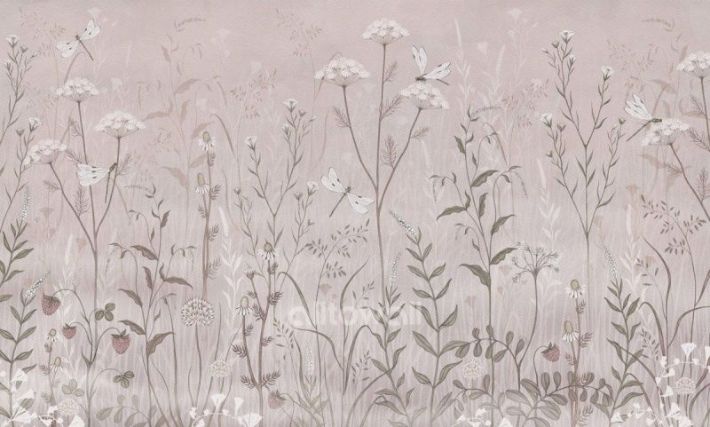 Полевые цветы