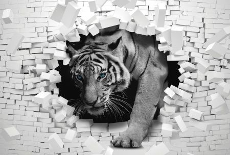 Скоз стены Art.33261