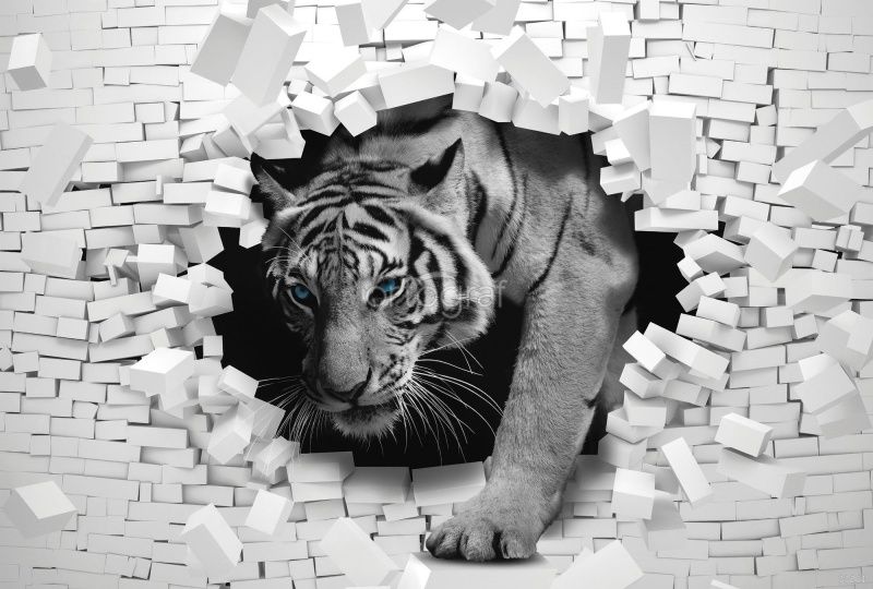 Скоз стены Art.33261