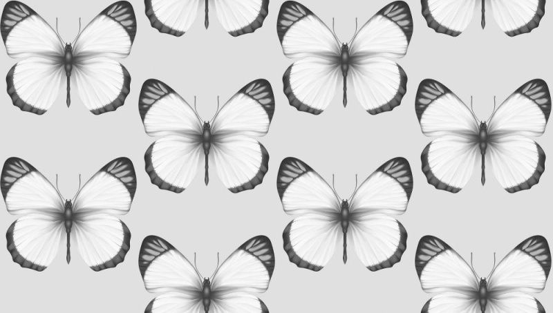 54401-1 Andrea Rossi Cheradi 1,06 x 10,05