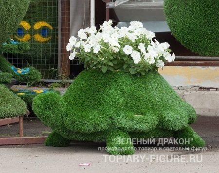 Топиари "Черепаха кашпо"