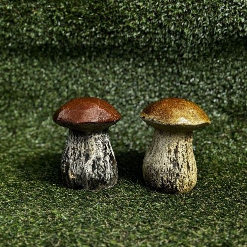 Гриб белый № 5