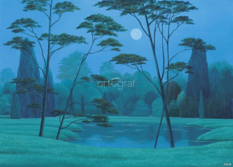 Ночное озеро Art.34439