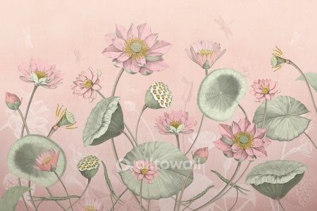 Розовый лотос