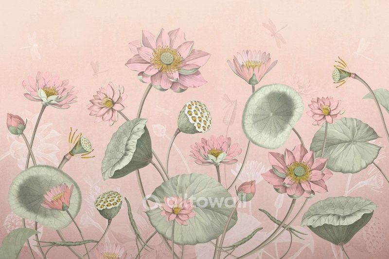 Розовый лотос