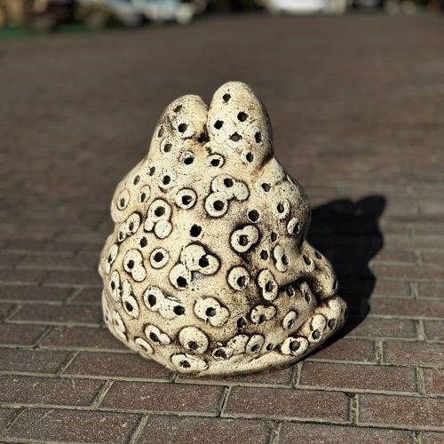 Жаба Клава