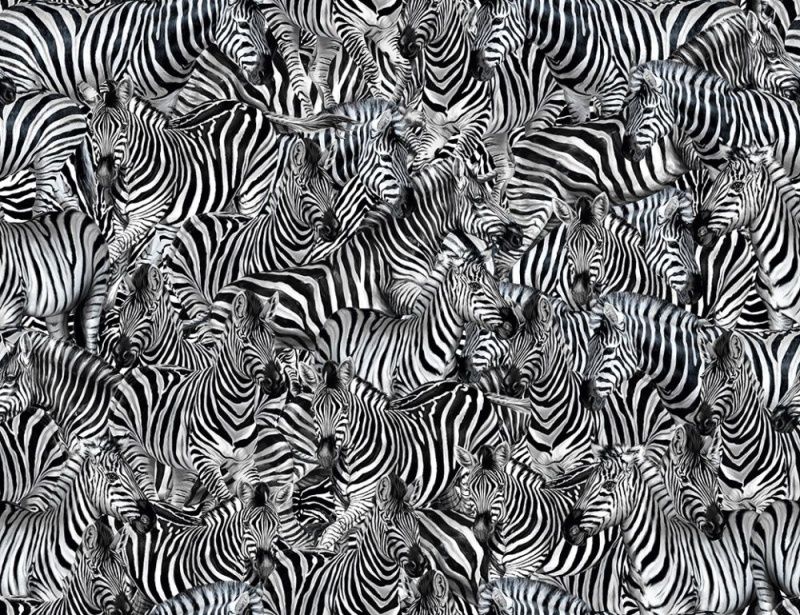 Виниловые фотообои Dolce&Gabbana №1 30123DGF