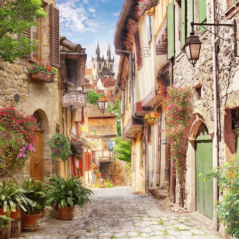 Современный Графический Дизайн 44232