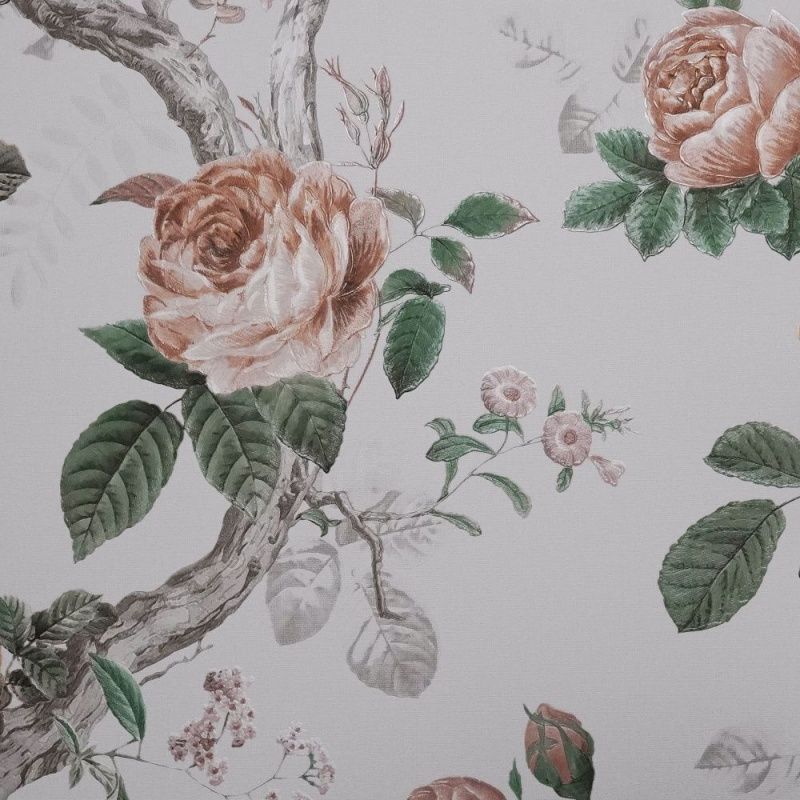 54421-2 Andrea Rossi Cavolli 1,06 х 10,05