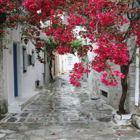 Современный Графический Дизайн F1199