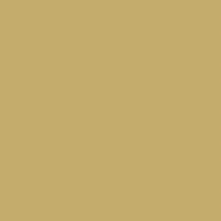 Флизелиновые обои Loymina La Belle Epoque 1x10.05 арт.BQ7004/1