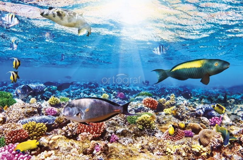 Фреска Риф Джексона Art.30682