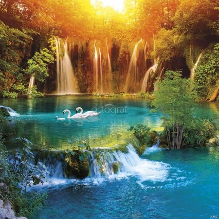 Лебединое озеро Art.30602