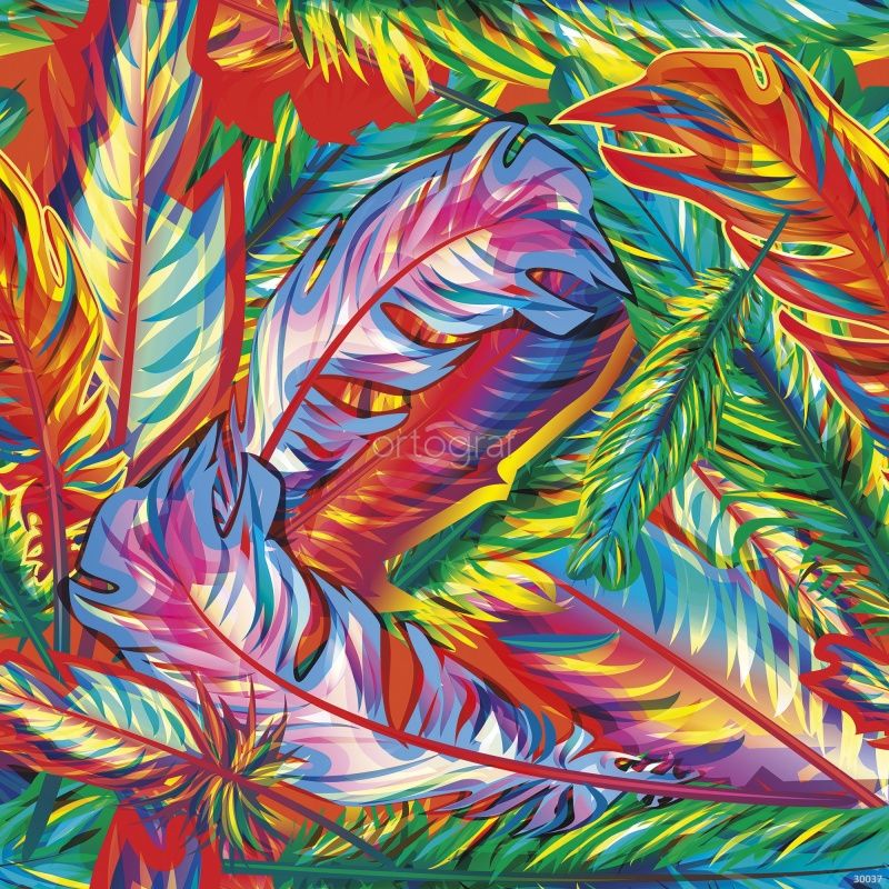 Фреска Красочные перья  Art.30037