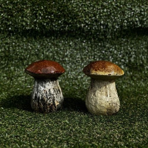 Гриб белый № 5