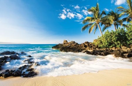 Фреска Пляж Праслен Art.30661