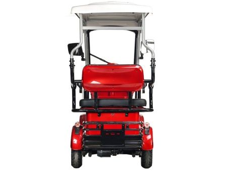 Электротрицикл Wanshida DOUHAO 60V 800Вт