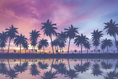 Пальмы на закате Art.34261