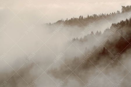 Фреска ALBA Natura арт. 800183