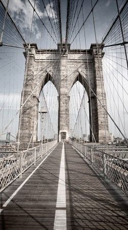 Современный Графический Дизайн f1259