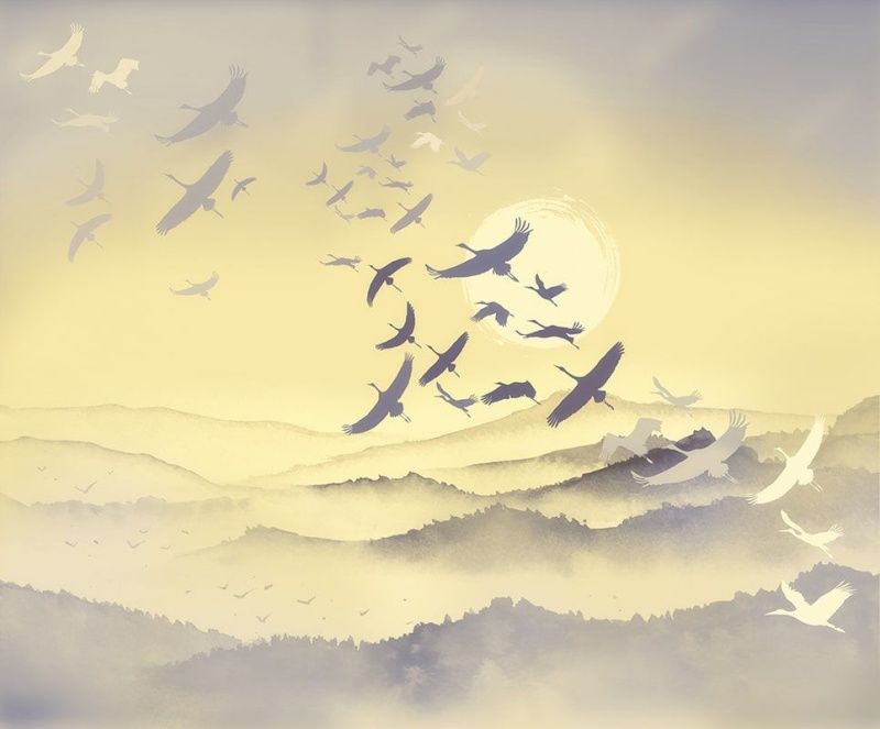 Графика ag0435