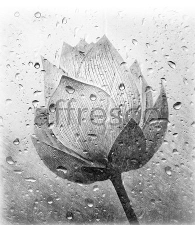 Рисунок лотоса, арт. ID136156