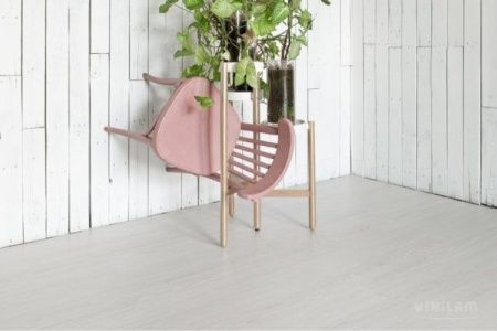 Дуб Гюстров