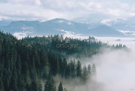 Лес и горные вершины Art.33608