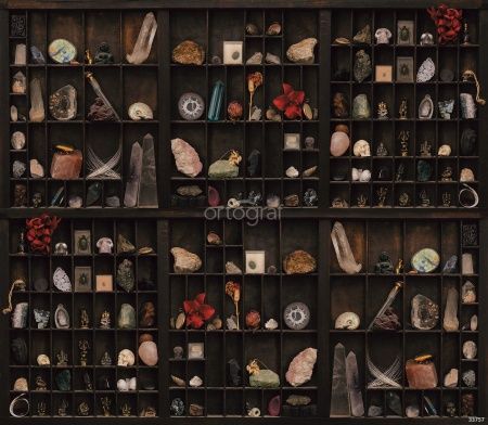 Фреска Полки колекционера Art.33757