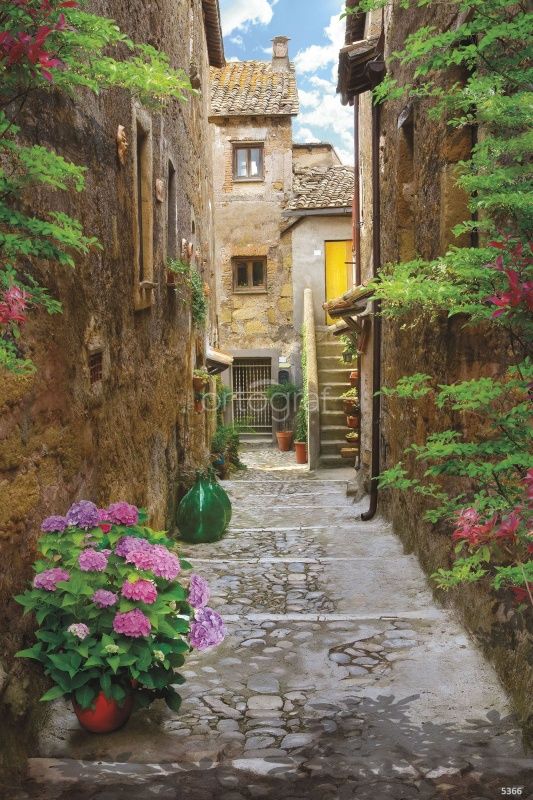 Тенистая улочка Art.5366