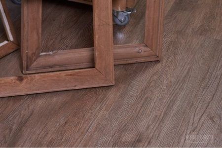 Дуб Оливковый