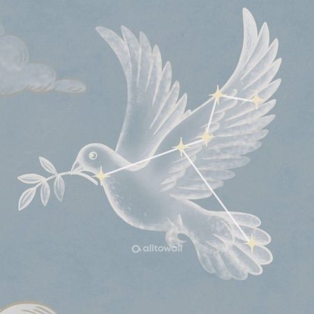 Созвездия зодиака-1