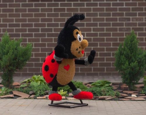 Божья коровка мальчик