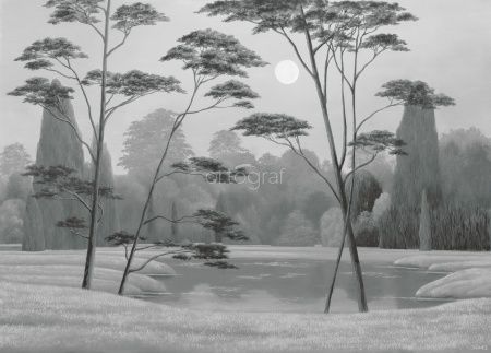 Ночное озеро Art.34441