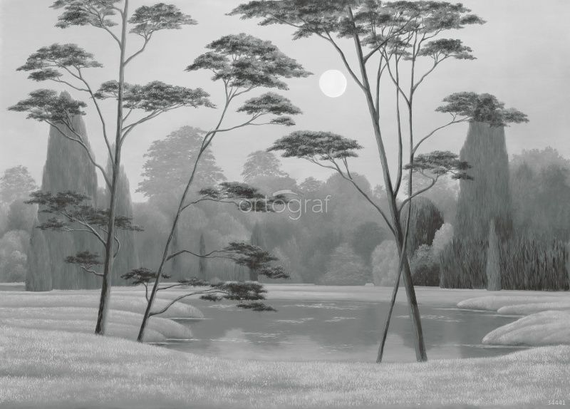 Ночное озеро Art.34441