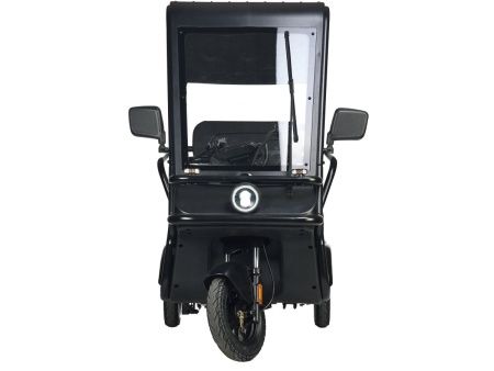 Электротрицикл Wanshida NIPLA 500 60V 1000Вт