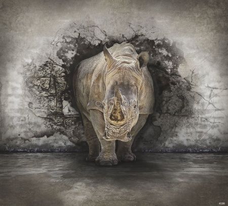 Фреска Носорог Art.4186